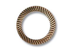 Schnorr ��ȫ�|Ȧ