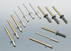 ANZI�������_���ͳ�о�T�