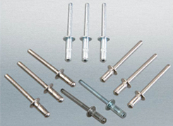 ANZI�����Ɔι��ͳ�о�T�