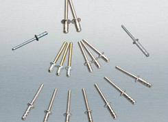 ANZI�����p��������ͳ�о�T�