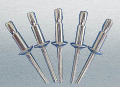 ANZI���������z��(�ڱ���)��о�T�