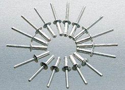 ANZI�������p����(���R��)��о�T�