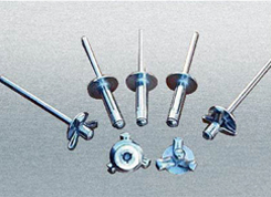 ANZI�����Ɵ��\�ͳ�о�T�