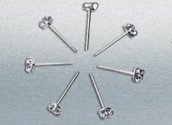 ANZI�����������ͳ�о�T�