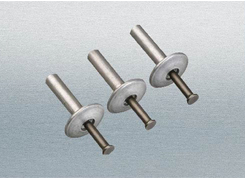 ANZI�����Ɠ�о�Ϳ����T�