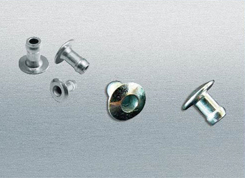 ANZI�����Ɵoо�Ϳ����T�