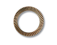 Schnorr ��ȫ�|Ȧ